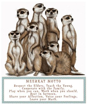 Meerkat Motto: Respect the Elders, Teach the Young, Cooperate with the Family, Play when you can, Work when you should, Rest in between.  Share your Affection, Voice your Feelings, Leave your Mark.