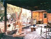 meerkat soaks up warmth