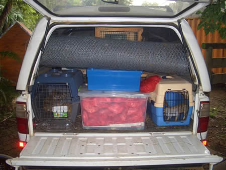 Truck loaded with meerkats